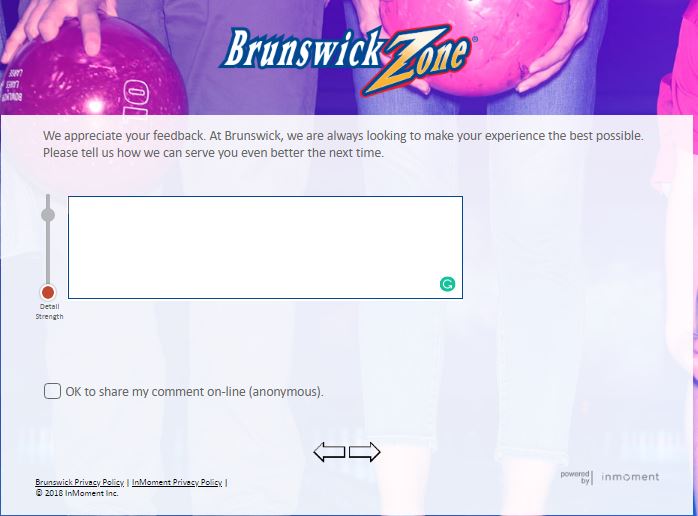 brunswick zone survey