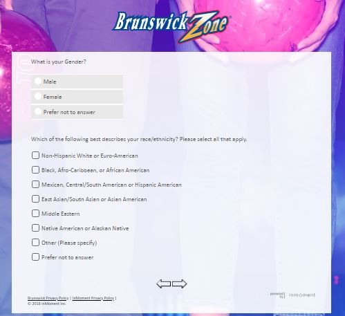 brunswick survey