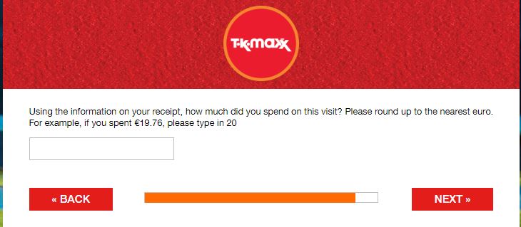 TK Maxx Ireland Customer Satisfaction Survey