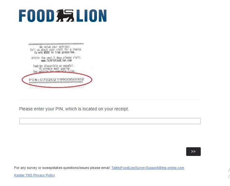 food lion customer survey